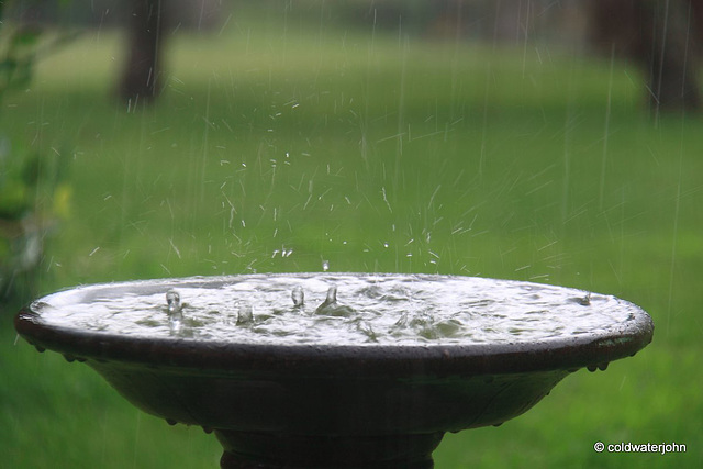 Fresh Rainwater birdbath... Fresh Rainwater birdbath...