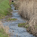Ruisseau