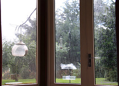 Did someone say it's raining outside?
