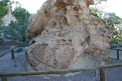 Hickison Summit Petroglyphs