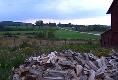 Wood Pile