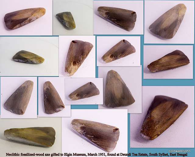 Prehistoric (Neolithic) Axehead made of fossilized wood 5188157978 o