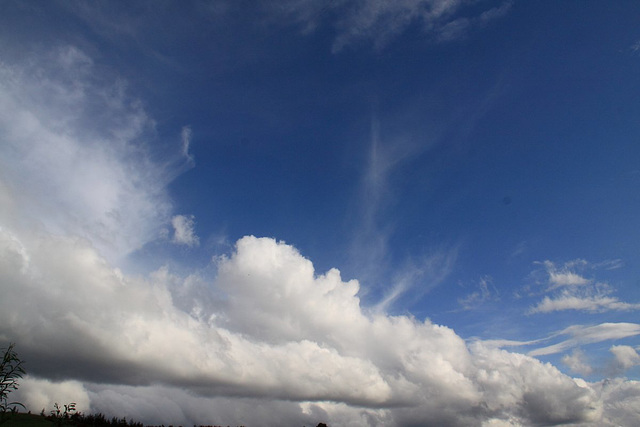 June Skies