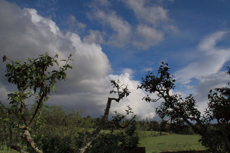 June Skies with Cokin Medium ND Filter