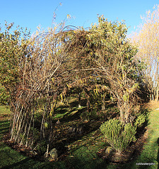 Willow wigwams 5154080712 o