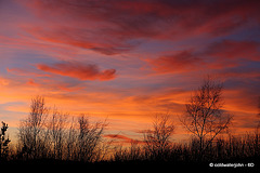 Dusk on a February Evening