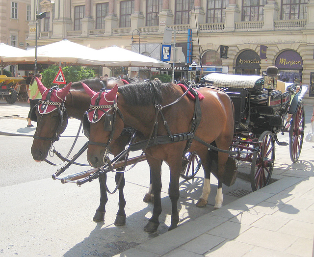 Wien, Innenstadt