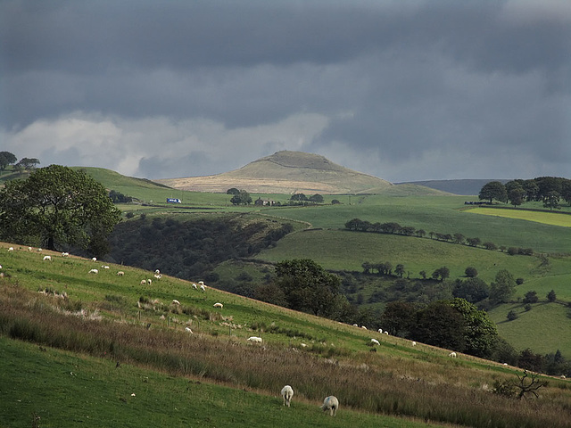 Shutlingsloe from Wincle Minn