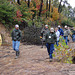 Central States Forest Soils Workshop