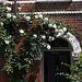 Roses Round The Door