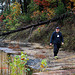 Central States Forest Soils Workshop