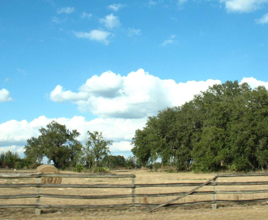 Blue skies....