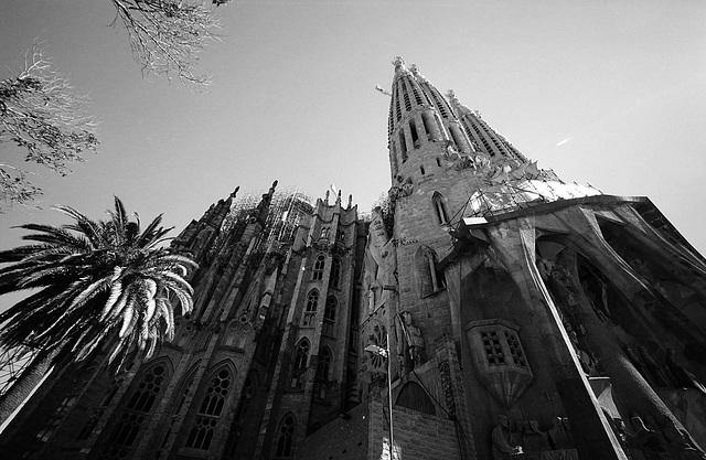 Sagrada Familia Leica IID 15mm CV 400CN 2