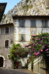 Limone- A Quiet Corner