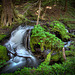 Waterfall with Moss