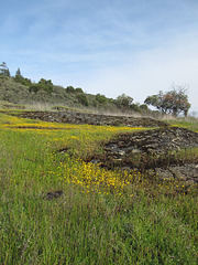 goldengranite2