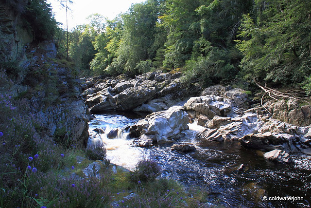 Excursion to the River Bank...