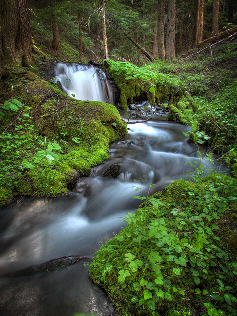 Lovely Waterfall