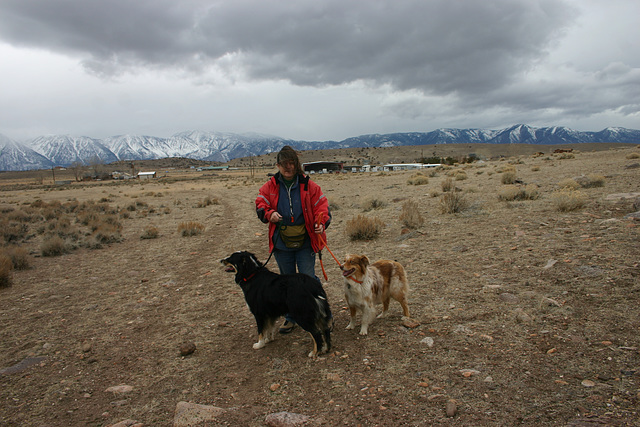 Jack, Joyce & Jill