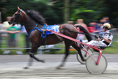 Short-track harness racing – At speed