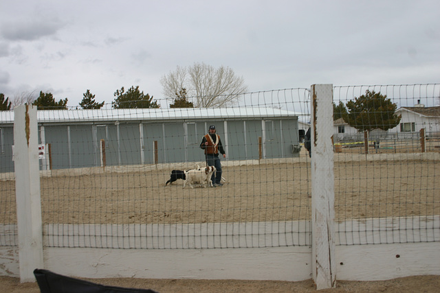 Jack w/Ian & goats