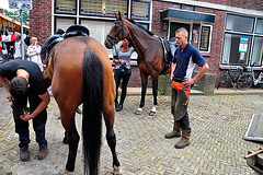 Paardenmarkt Voorschoten 2012 – Horses at the farrier