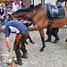 Paardenmarkt Voorschoten 2012 – Manicure