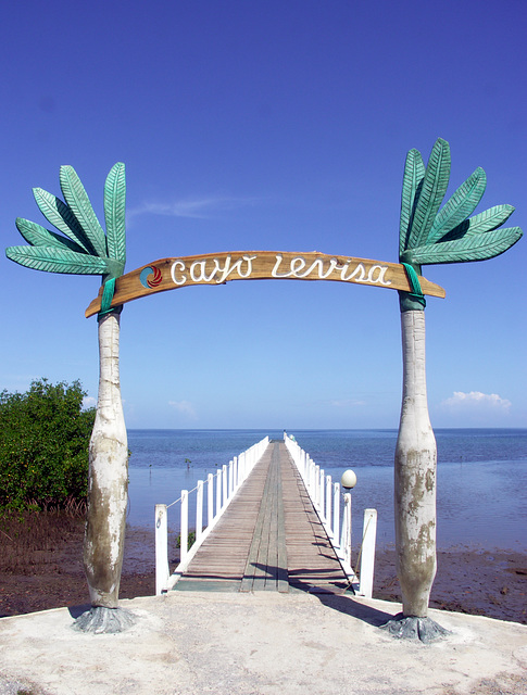 Waving palms