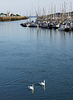 Littlehampton marina