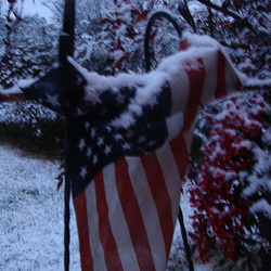 snow 001