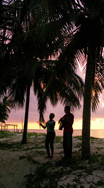 Music at sunset