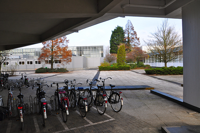 Gorlæus Laboratory of Leiden University