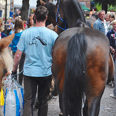 Paardenmarkt Voorschoten 2012 – Led away