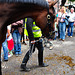 Paardenmarkt Voorschoten 2012 – Led away