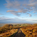 Stiperstones View