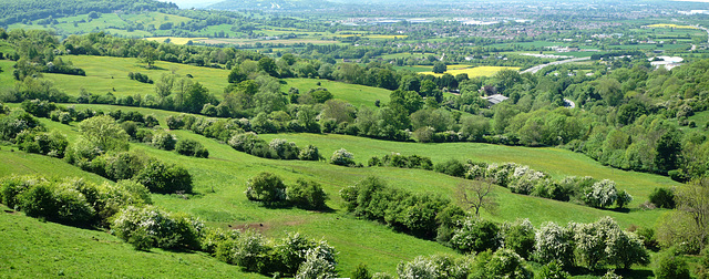 Barrow Wake, May 2009