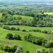 Barrow Wake, May 2009