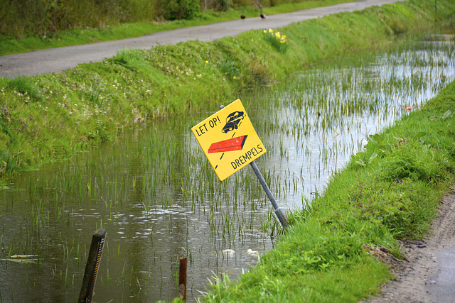 Watch out for speed bumps