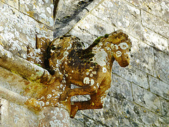 athelhampton hall, dorset