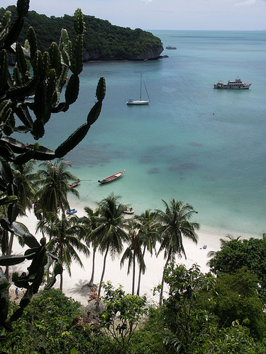 White sand, palm trees