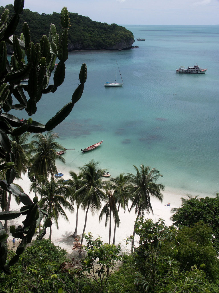 White sand, palm trees