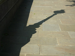 Chelsea shadow