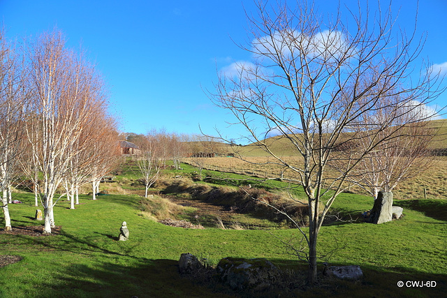 Sunshine and blue skies - BBC Weather Report: Overcast!