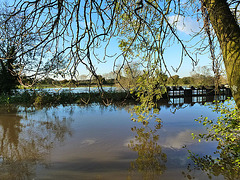 fiddlefordill, sturminster newton, dorset