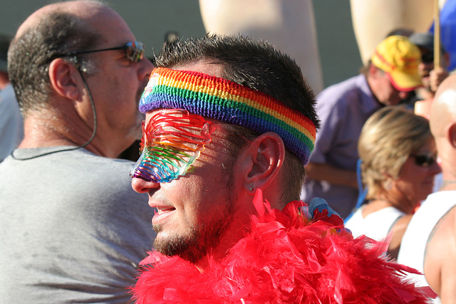 Palm Springs Rally For Supreme Court Decisions (2724)