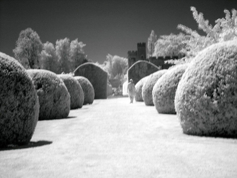 Topiary