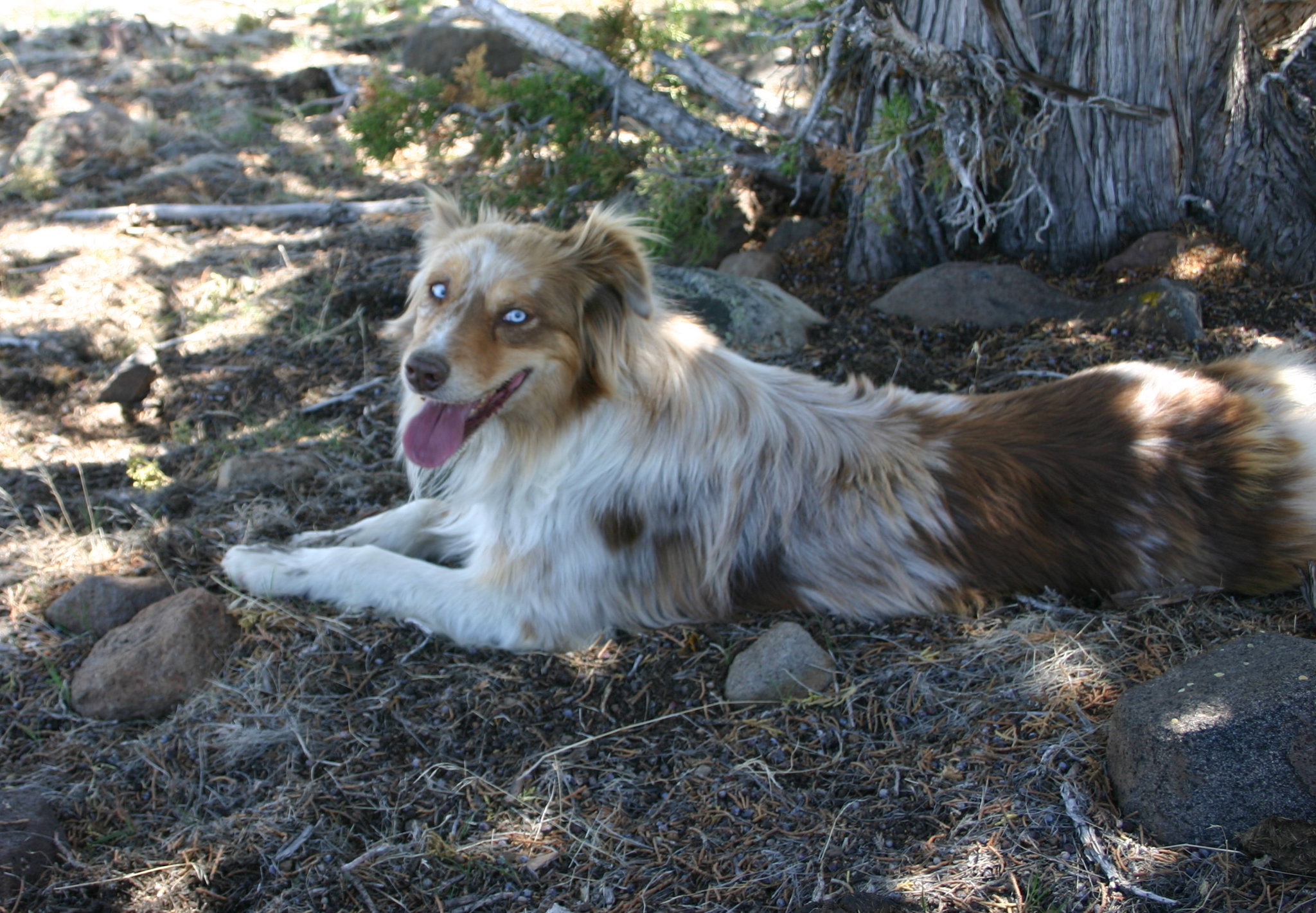 Jill in the shade