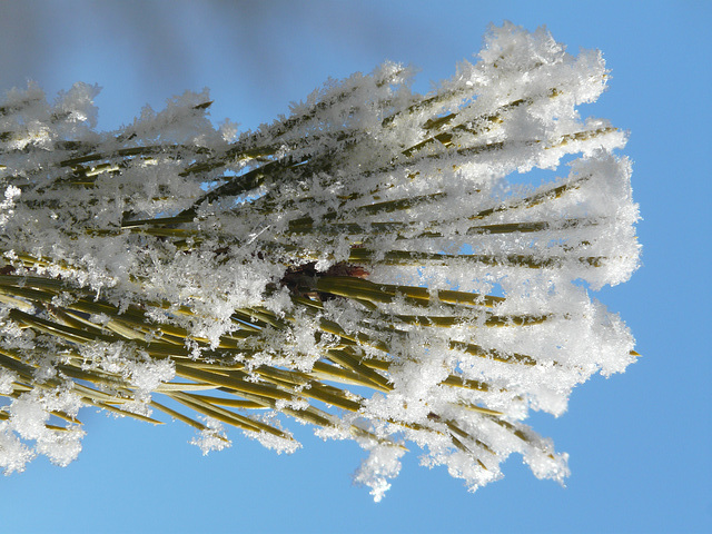 The magic of snow