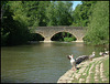 Godstow Bridge