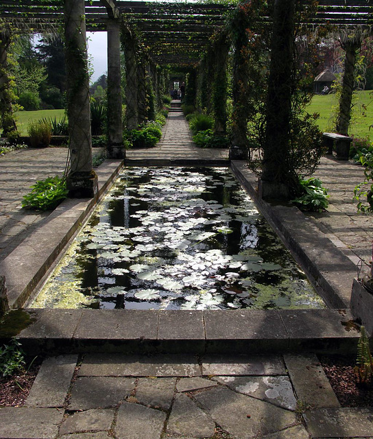 Pergola Pond